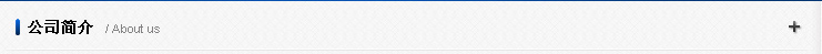 公司简介